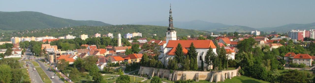 Hotel Diana Нове-Место-над-Вагом Экстерьер фото